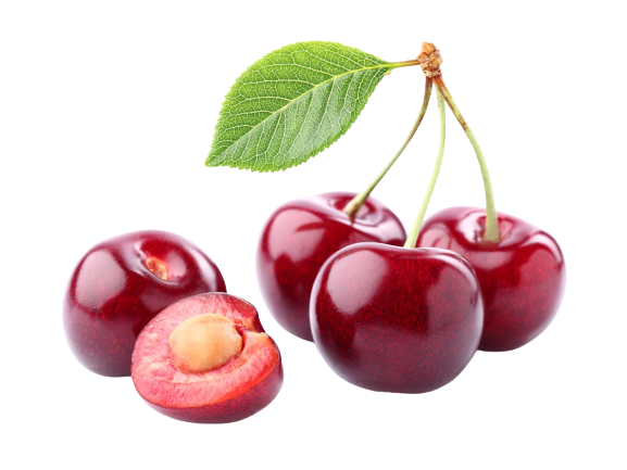 AdobeStock_78142082-removebg-preview