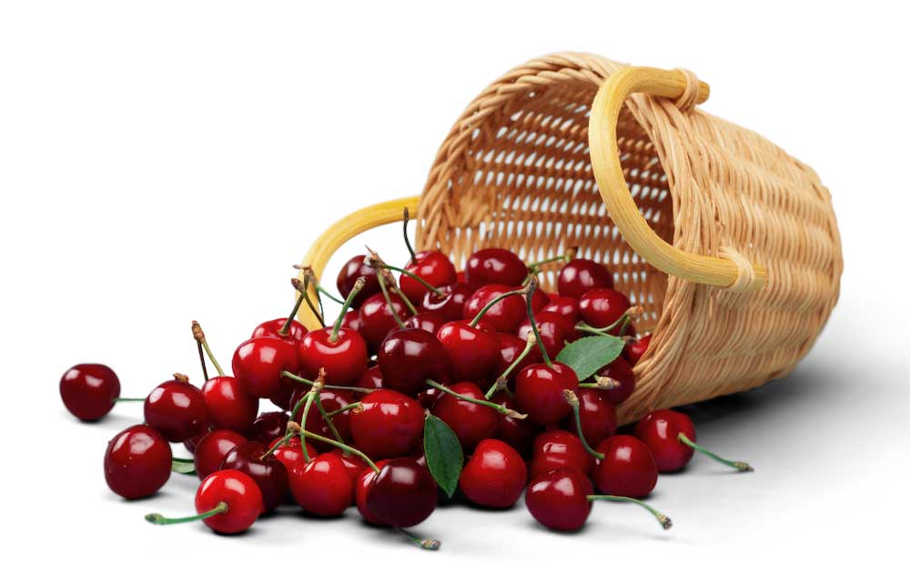 erfolgreich-gruenden-online-kurs-workshop-web